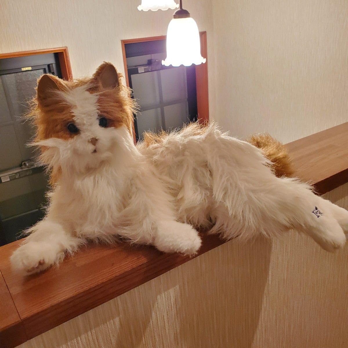 Amazon.co.jp: セガトイズ 夢ねこ ヴィーナス 猫 ネコ : ペット用品