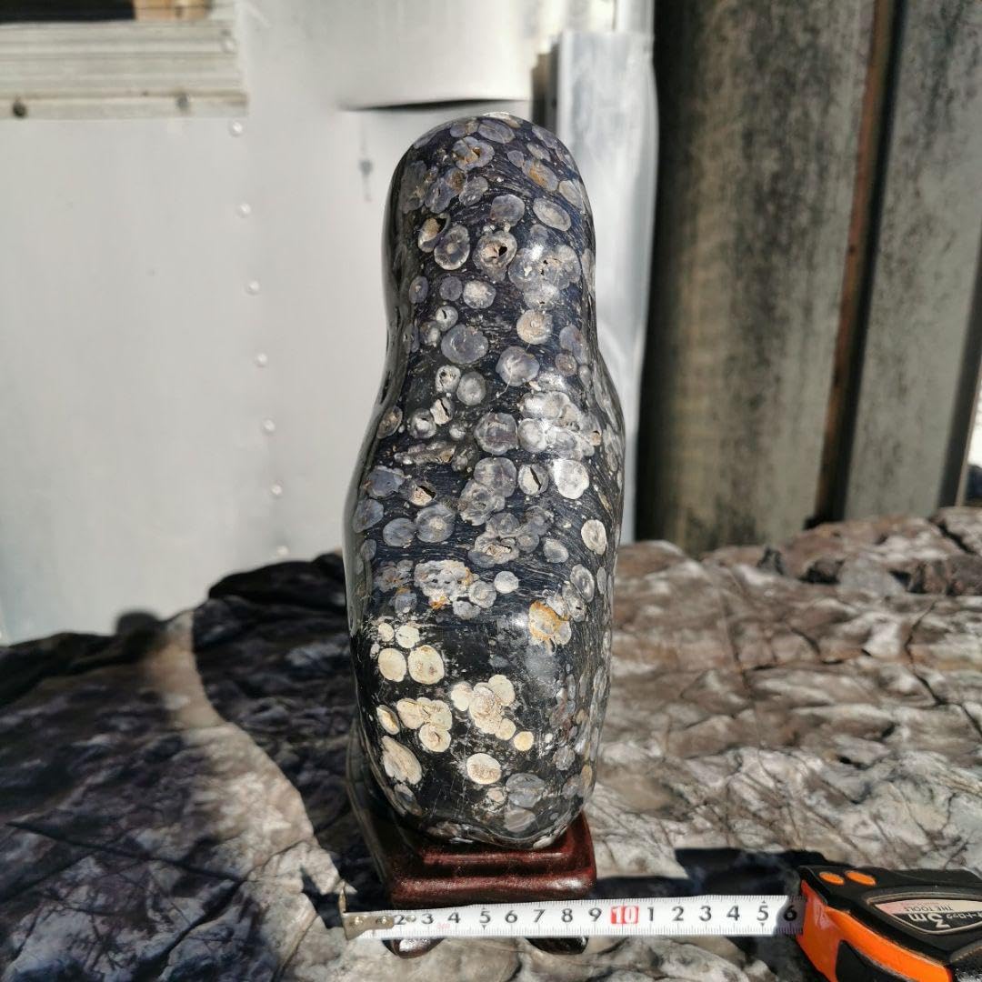 Amazon.co.jp: 東北産 梅花石 6.7キロ 鑑賞石 石 置物 オブジェ