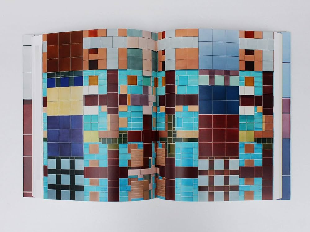 Amazon.co.jp: 岡﨑乾二郎 視覚のカイソウ : 岡﨑乾二郎: 本