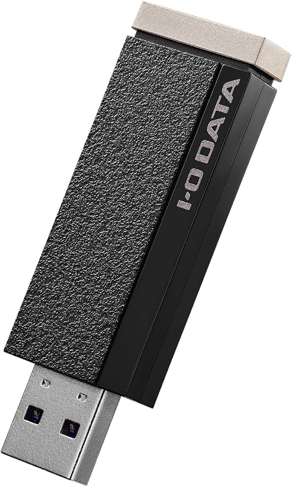 Amazon | AVSSD-RS1 24時間連続録画/4K対応 録画用スティックSSD 1TB