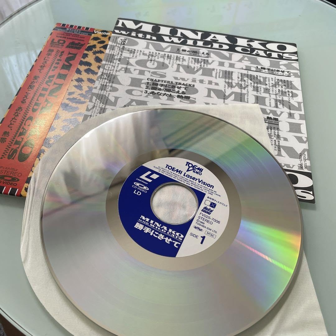 Amazon.co.jp: 本田美奈子 勝手にさせて LD レーザーディスク シングル