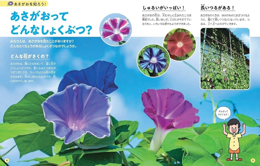 あさがお ずかん | 仁田坂 英二, 柊原 礼士 |本 | 通販 | Amazon