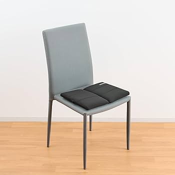 Amazon.co.jp: エアウィーヴ キャリークッションmini お尻が痛く