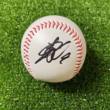 71SmsnrM0pL._AC_UF350,