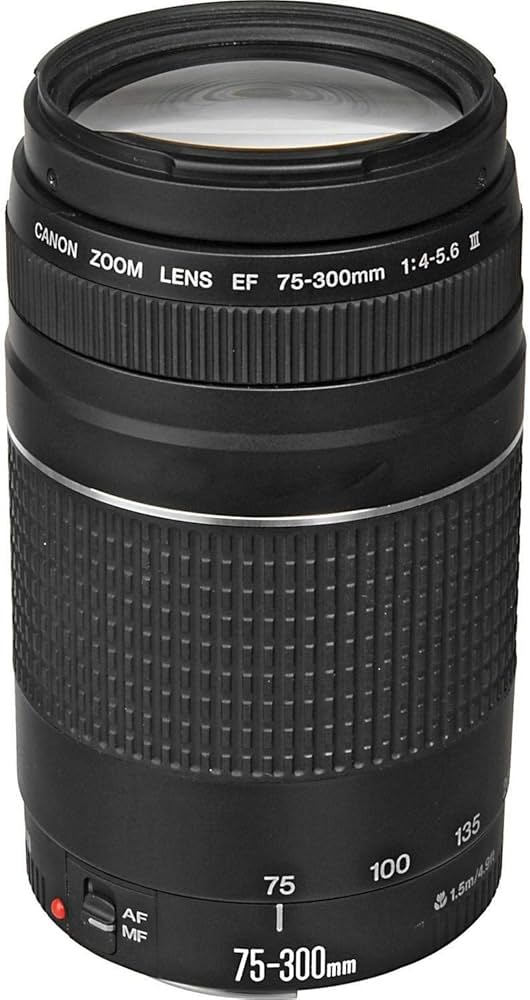 Amazon.com : Canon EF 75-300mm f/4-5.6 III Telephoto Zoom Lens for