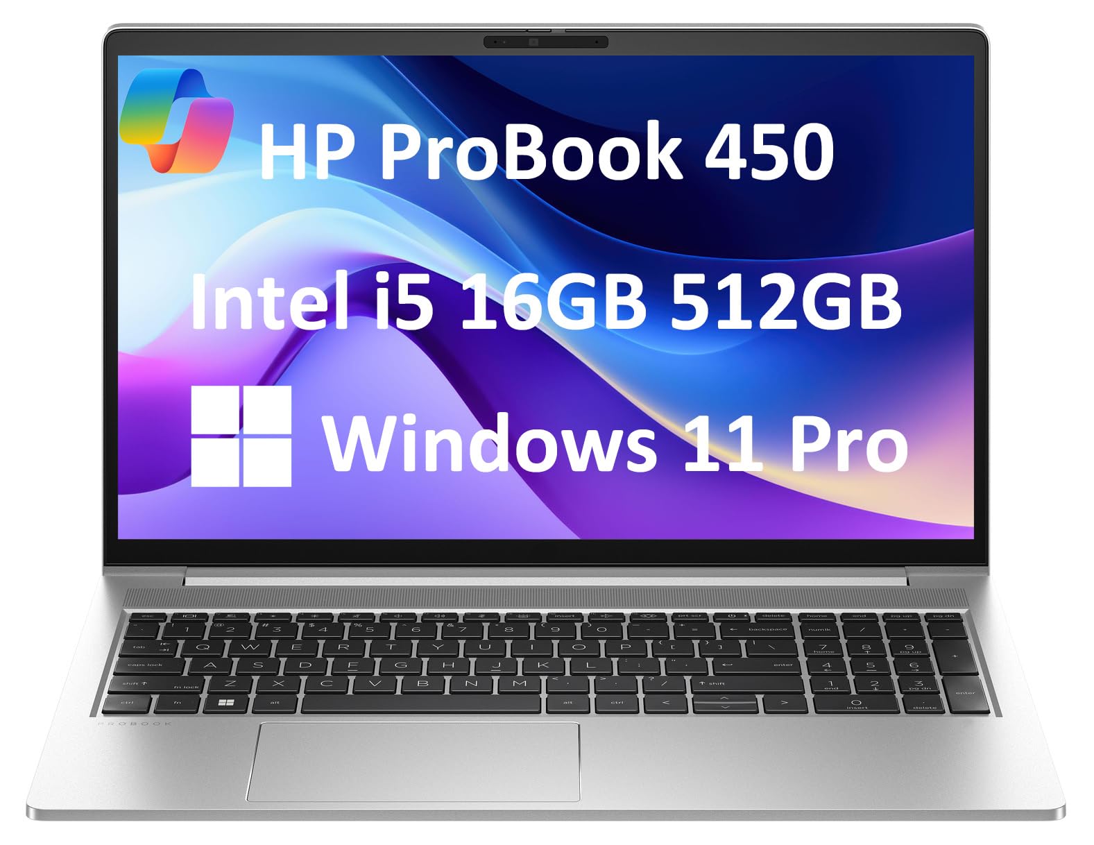 Amazon.com: HP ProBook 450 G10 Business Laptop (15.6