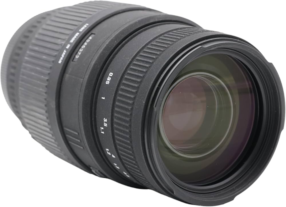 Sigma 70-300mm F/4-5.6 DG Macro Telephoto Zoom Lens for Canon DSLR