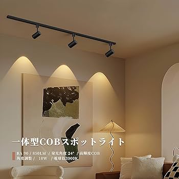 Amazon.co.jp : ダクトレール ダクトレール用スポットライト LED一体型