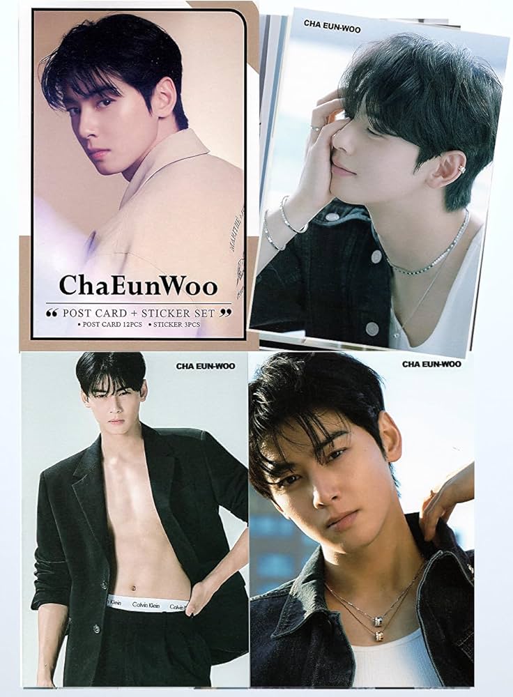 Amazon.co.jp: チャウヌ グッズ ポストカード セット (ポストカード 12