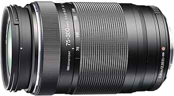 71U4Zwj2efL._AC_UF350,