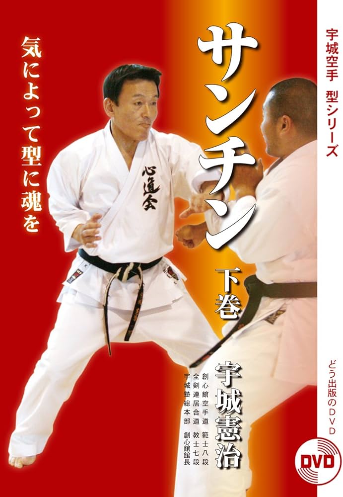 Amazon.co.jp: 【DVD】サンチン下巻 (宇城空手 型シリーズ) () : 宇城