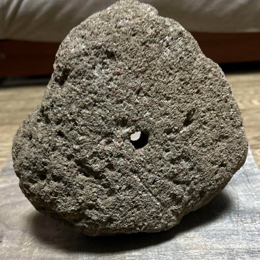 Amazon.co.jp: 山渓鉢 一点モノ 軽石鉢 溶岩石 植木鉢 盆栽 多肉植物