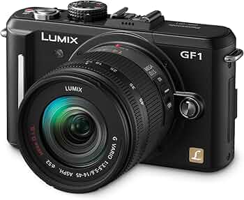 Amazon.com : Panasonic Lumix DMC-GF1 12.1MP Micro Four-Thirds