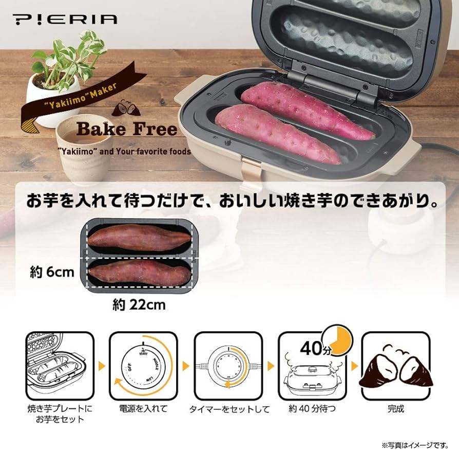 71UMnp2WH9L._AC_UF894,