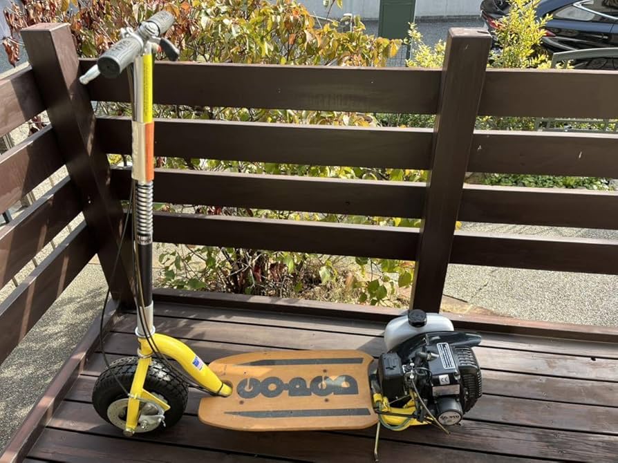 Amazon.co.jp: 希少 フルノーマル ゴーペッド ゴーペット GO-PEDビッグ