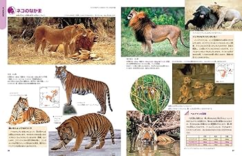 増補改訂版・動物 (ニューワイド学研の図鑑) : n/a: Amazon.com.tr: Kitap