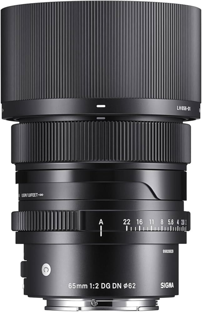 Amazon.co.jp: シグマ(Sigma) レンズ 65mm F2 DG DN Sony ソニー E