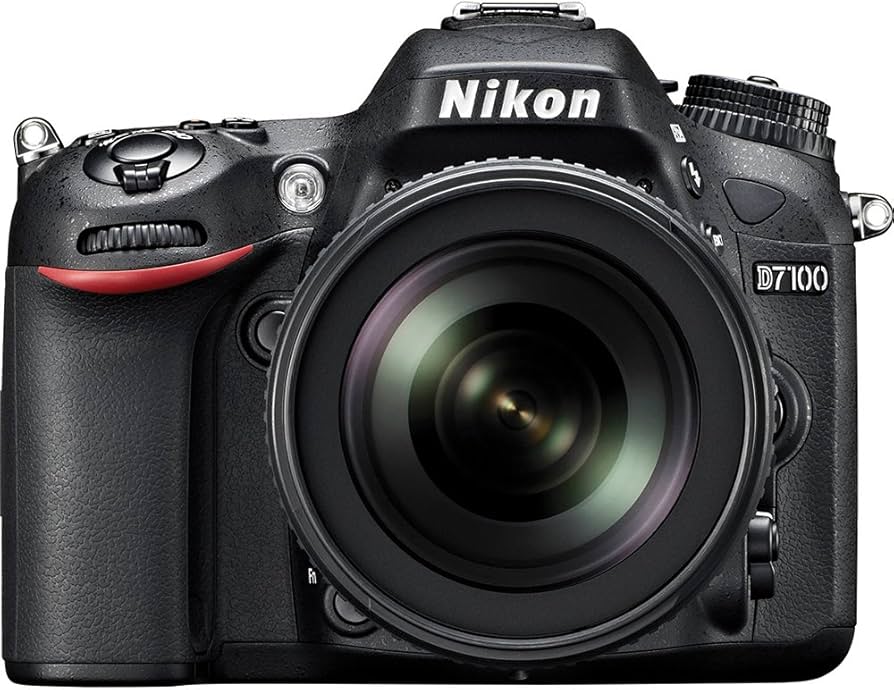 Amazon.com : Nikon D7100 24.1 MP DX-Format CMOS Digital SLR (Body
