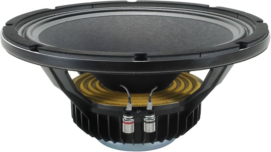 Amazon.com: EMINENCE KAPPALITE3012HO 12-Inch Neodymium Series