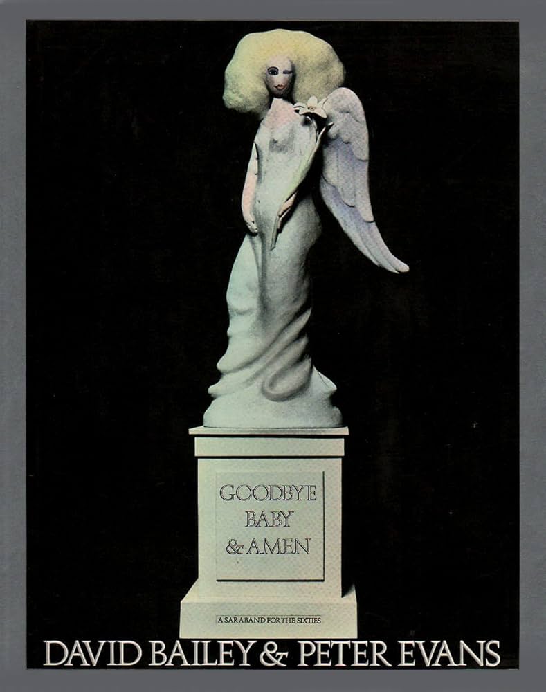 Goodbye baby & amen: a saraband for the sixties: BAILEY, David
