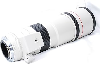 Amazon.co.jp: Canon EF 300 mm F4 L USM : 家電＆カメラ