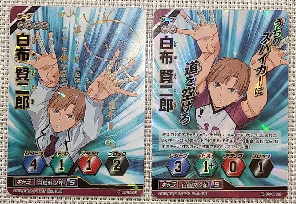 Amazon.co.jp: ハイキュー バボカ 白鳥沢 白布 サインカード 頂 他 9枚