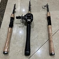 Amazon | ダイワ(DAIWA) 振出バスロッド トリプルビー 636TLFS 釣り竿