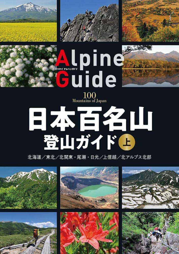 71VTe9xqs8L._AC_UF1000,