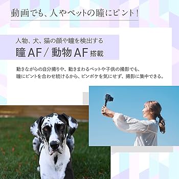 Amazon | Nikon ニコン ミラーレス一眼 Z30 ボディ Zマウント APS-C