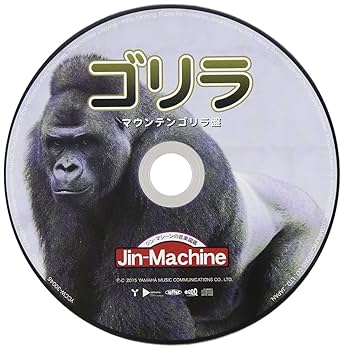 Amazon.co.jp: ゴリラ【マウンテンゴリラ盤】: ミュージック