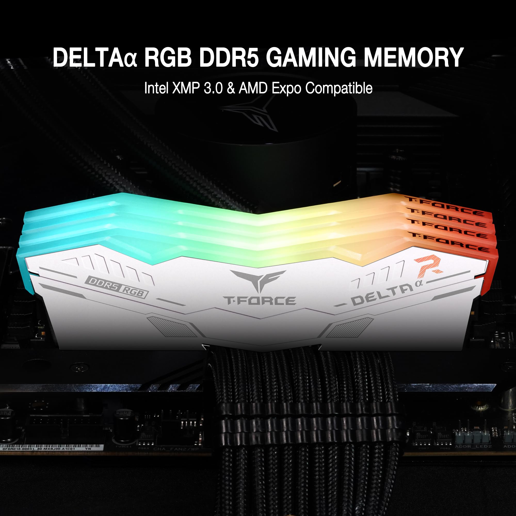 Amazon.co.jp: TEAMGROUP T-Force Delta Alpha RGB DDR5 Ram 32GB