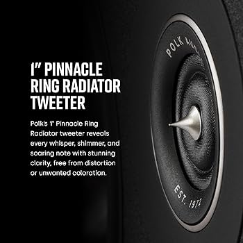 Amazon.com: Polk Audio Reserve Series R400 Large Center Channel