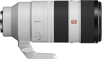 Amazon.com : Sony FE 70-200mm F2.8 GM OSS II Full-Frame Constant