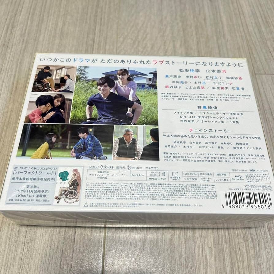 パーフェクトワールド Blu-ray BOX〈5枚組〉（松坂桃李） 【公式通販】