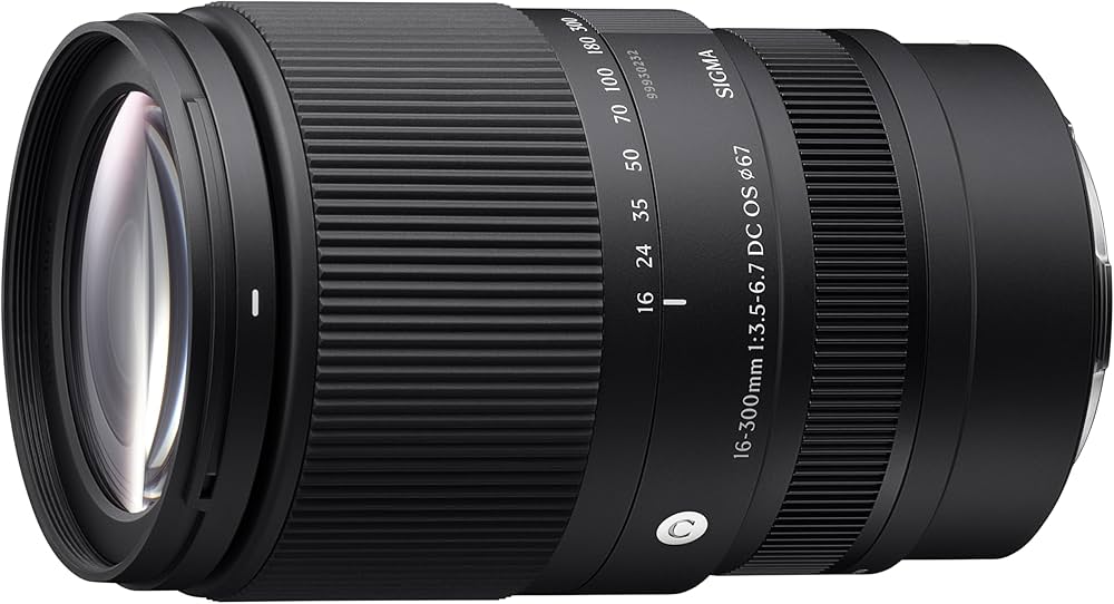 Amazon.co.jp: シグマ(Sigma) レンズ 16-300mm F3.5-6.7 DC OS