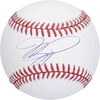 Amazon.com: Mike Piazza Autographed Baseball - Autographed