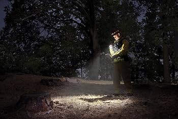 Amazon.co.jp: MAG-LITE(マグライト) ミニマグライト PRO 2AA LED