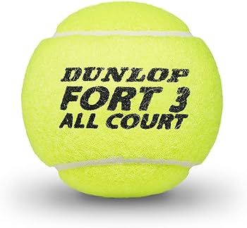 Amazon | DUNLOP Fort All Court TS テニスボール ユニ 大人用
