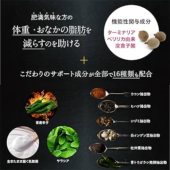 Amazon.co.jp: ターミナリアファースト 4 (機能性表示食品 / 120粒×3袋
