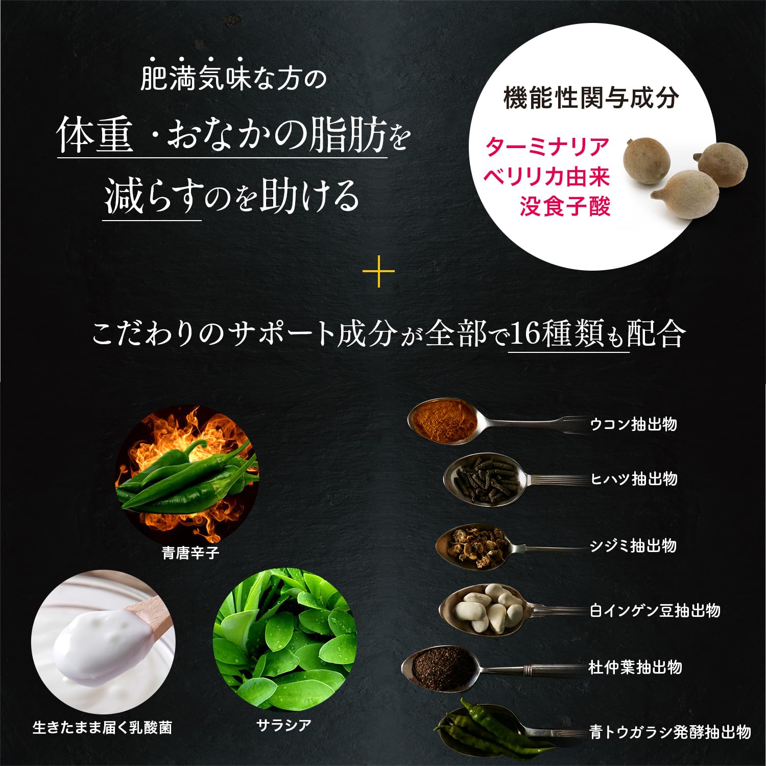 Amazon.co.jp: ターミナリアファースト 4 (機能性表示食品 / 120粒×3袋