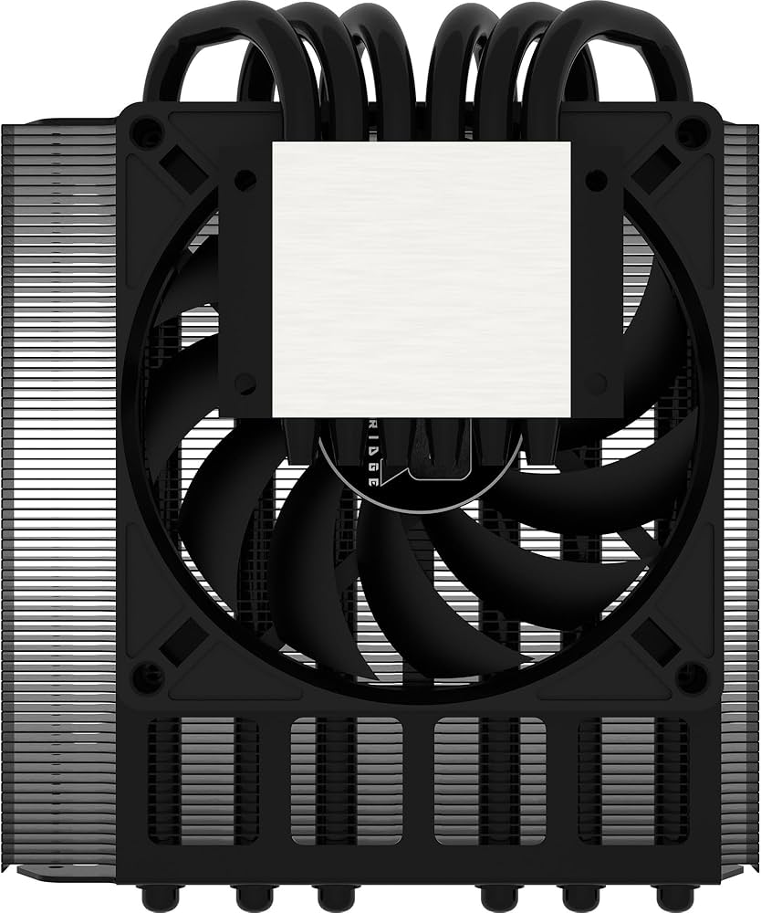 71WfzcUGQNL._AC_UF1000,