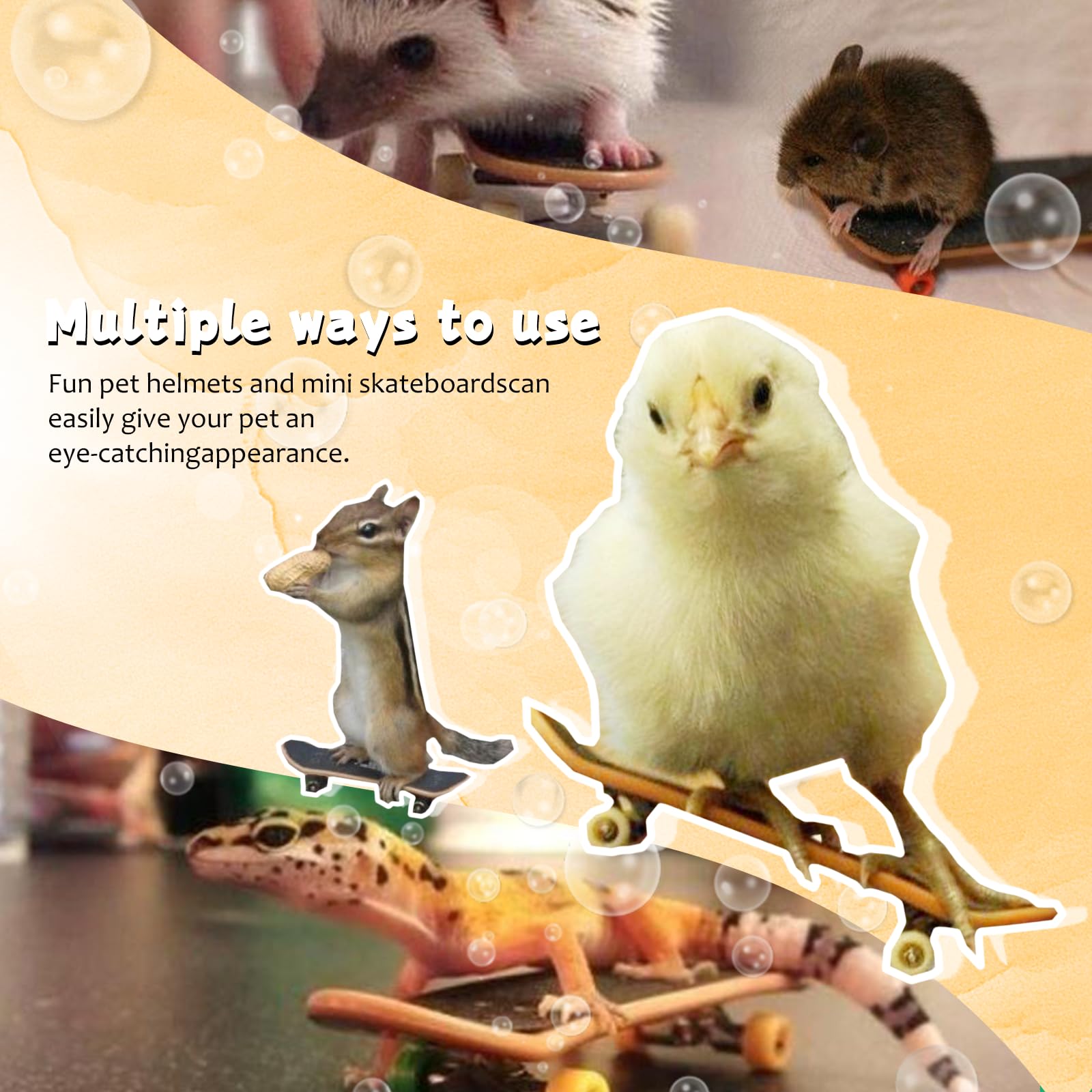 Amazon.co.jp: Doblopup カメ スケートボード リアルタートル用 ミニ