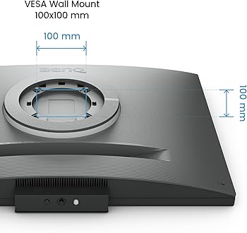 Amazon.com: BenQ RD280U 28.2” 4K 3840x2560 3:2 Programming Monitor