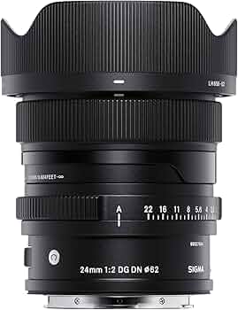 Amazon.co.jp: シグマ(Sigma) レンズ 24mm F2 DG DN Sony ソニー E