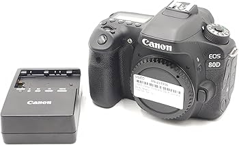 Amazon.com : Canon Digital SLR Camera Body [EOS 80D] with 24.2