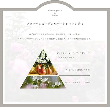 Amazon | 【公式】シルクリペアシャンプー＆トリートメントBB 詰め替え