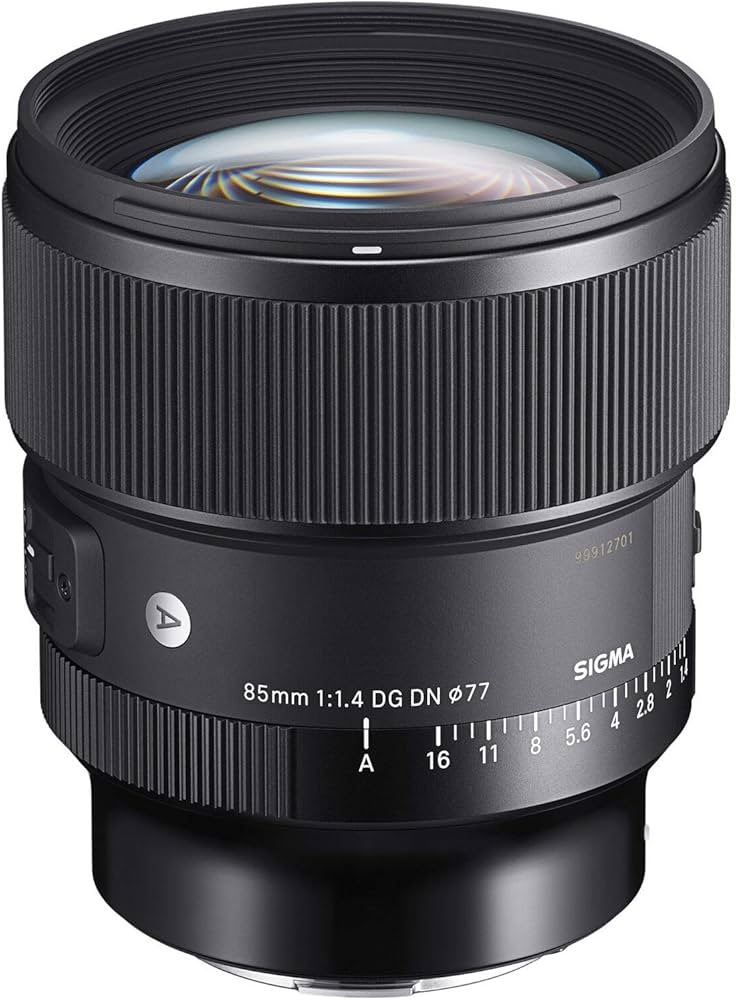 Amazon.com : Sigma 85mm F1.4 DG DN Sony E (322965) : Electronics