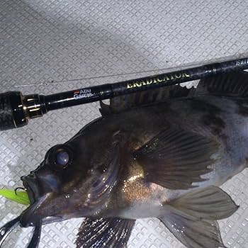 Amazon.co.jp: アブガルシア(Abu Garcia) ロックフィッシュ ロッド