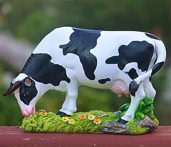 71XgzMY-MFL._AC_UF350,