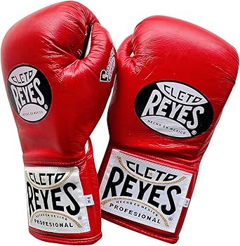 Amazon.co.jp: REYES/レイジェス ボクシンググローブ ひも式 safetec